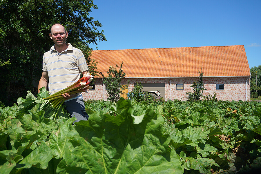 Fruitsappen Verhofstede Rabarberhoeve Gijverinckhove